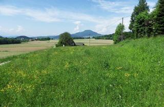 Grundstück zu kaufen in 9063 Maria Saal, Sonniges Baugelände ca. 3.921 m², in Maria Saal, Nähe Klagenfurt, geeignet sowohl für BAUTRÄGER als auch für Privatkäufer