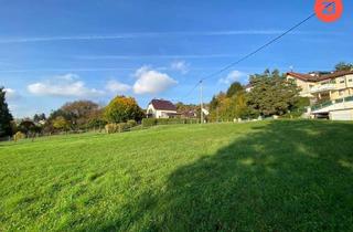 Grundstück zu kaufen in Unterhöf 13-15, 4073 Wilhering, Malerisches 2188 m² Grundstück mit Waldblick in Wilhering