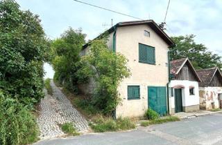 Gewerbeimmobilie kaufen in 2054 Haugsdorf, Presshaus in Haugsdorf mit landwirtschaftlichen Grundstücken