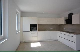 Haus mieten in 2344 Maria Enzersdorf, NEUBAU-DOPPELHAUSHÄLFTE in begehrter LAGE (Haus 2)