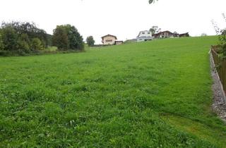 Grundstück zu kaufen in 5622 Altenhof, Sonniger und ruhiger Baugrund in unverbaubarer Panoramalage von Goldegg - 1251 m²