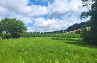 Grundstück zu kaufen in 4421 Aschach an der Steyr, Idylle PUR! Kein Trubel - nur NATUR!