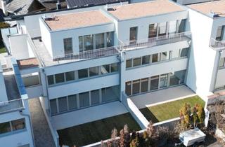 Reihenhaus kaufen in 3400 Klosterneuburg, Top 10 - Reihenhaus // Wohnen am WEIDLINGBACH