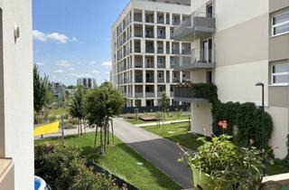 Wohnung mieten in Kagraner Platz, 1220 Wien, Ab sofort: Moderne 2-Zimmer-Wohnung mit Balkon nahe U1 Rennbahnweg