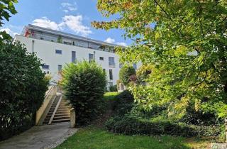 Wohnung mieten in Martinskirche, Stadtplatz, Interspar, 3400 Klosterneuburg, Blick in die Weinberge - Großzügige und helle Terrassenwohnung in bevorzugter Lage