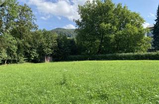 Wohnung kaufen in Gartenhausweg 03, 4560 Kirchdorf an der Krems, Moderne Gartenwohnung in Kirchdorf: Erstbezug, 4 Zimmer, Terrasse & Garage!