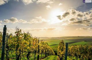 Haus kaufen in Südsteiermark, Weinebene, Slowenien, 8462 Gamlitz, Exklusiv! Besondere Anwesen in der wunderschönen Südsteiermark - Ihr Rückzugsort mit Charme, Komfort und einen unvergleichbarem Flair!