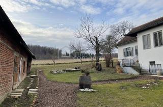Bauernhäuser zu kaufen in 7540 Güssing, Schönes Bauernhaus mit Nebengebäuden für Selbstversorger