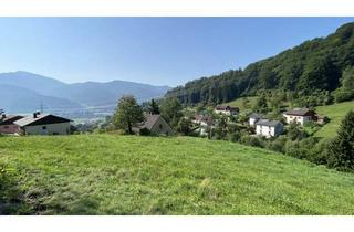 Einfamilienhaus kaufen in Quellenweg, 8712 Proleb, Seltene Gelegenheit in Proleb: 6.057 m² Bauland & Freiland in herrlicher Aussichtslage am Waldrand!