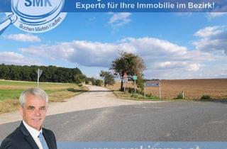 Grundstück zu kaufen in 3712 Maissau, Acker bei Maissau - 3,42 ha landwirtschaftliche Nutzfläche!