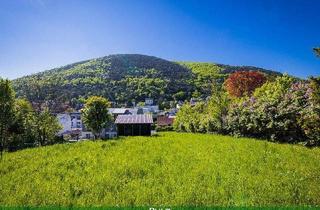Grundstück zu kaufen in Hauptstraße 88 u. 90, 2371 Hinterbrühl, ZENTRALE SÜDLAGE - PROJEKT/BAUTRÄGER