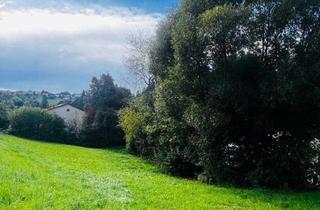 Grundstück zu kaufen in 4201 Eidenberg, Naturnahe Grünlage – Baugrundstück mit Wohlfühlfaktor in Eidenberg