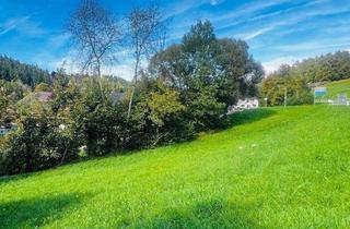 Grundstück zu kaufen in 4201 Eidenberg, Naturverbunden wohnen – Baugrundstück mit Lebensqualität in Eidenberg