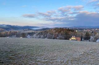 Grundstück zu kaufen in 4083 Haibach ob der Donau, Baugrundstück in traumhafter Hanglage – 974 m², voll aufgeschlossen, provisionsfrei! (Provisionsfrei)