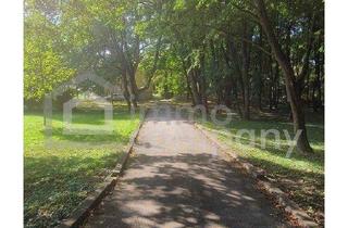 Wohnung kaufen in Kirchenplatz, 1230 Wien, 3 Zimmer Wohnung in super Ruhelage mit extrem viel Potenzial zum selbst gestalten in Rodaun