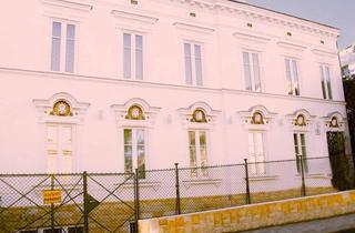 Villen zu kaufen in Scheidlstraße, 1180 Wien, Mehrfamilienvilla
