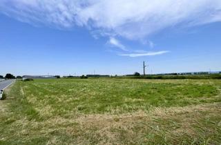 Grundstück zu kaufen in Gramatneusiedler-Straße, 2441 Mitterndorf an der Fischa, IHRE CHANCE: Betriebsgrundstück I TOP-Lage I Ideal geschnitten I Ortseinfahrt Mitterndorf/Fischa