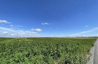 Grundstück zu kaufen in Hauptstraße, 2440 Moosbrunn, Rarität! Landwirtschaftliches Grundstück zwischen Moosbrunn und Gramatneusiedl- ca. 41.000 m² Ackerfläche zu verkaufen!