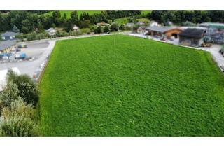 Grundstück zu kaufen in 8943 Aigen im Ennstal, Grundstück in Aigen im Ennstal