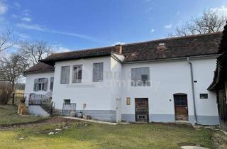 Bauernhäuser zu kaufen in 7540 Güssing, Schönes Bauernhaus mit Nebengebäuden für Selbstversorger