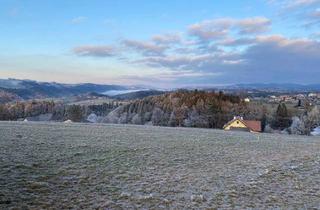 Grundstück zu kaufen in 4083 Haibach ob der Donau, Baugrundstück in traumhafter Hanglage – 974 m², voll aufgeschlossen, provisionsfrei! (Provisionsfrei)