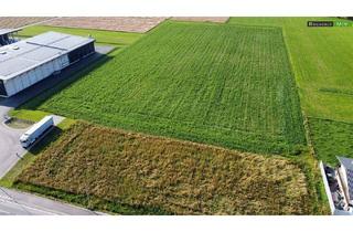 in 8724 Spielberg, BAURECHT: Gewerbegrundstück mit knapp 32.000 m² in optimaler Verkehrslage +++ Spielberg +++