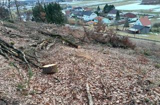 Grundstück zu kaufen in Hochleitenweg 2b, 7423 Pinkafeld, Großer Baugrund mit angrenzendem Wald zu verkaufen