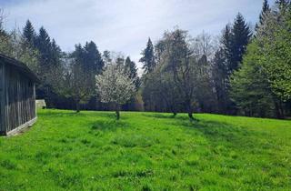 Bauernhäuser zu kaufen in 8076 Vasoldsberg, Idyllische Alleinlage nahe Graz – Einzigartige Liegenschaft mit ca. 12.000 m² Grund und großem Potenzial