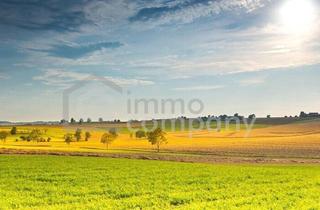 Grundstück zu kaufen in Kellergasse, 7083 Purbach am Neusiedler See, Mega Grundstück - kein Bauzwang - Ideal als Anlage