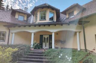 Villen zu kaufen in 2571 Altenmarkt an der Triesting, Tolle Villa mit neuer PV-Anlage bietet viel Platz und ruhige, grüne Umgebung - ca. 38 min zur Stadtgrenze Wien!