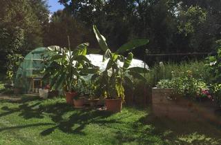 Wohnung mieten in 9122 Sankt Kanzian am Klopeiner See, Werkstatt-Freizeit-Wohnen - Vermietung