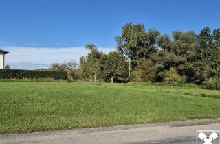 Grundstück zu kaufen in 4075 Aumühle, Randparzelle in kleiner Streusiedlung Aumühle ohne Bauverpflichtung