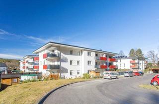 Wohnung mieten in Herzog-Park 114, 2823 Pitten, Wunderschöne Gartenwohnung in ruhiger Lage