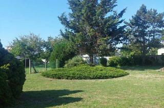 Grundstück zu kaufen in 2422 Pama, 2422 Pama - schönes Baugrundstück in absoluter Ruhelage