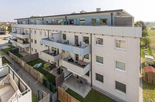 Wohnung mieten in Wiener Straße 66, 3133 Traismauer, Helle Dachterrassenwohnung mit Fernblick