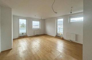 Wohnung mieten in Wiener Straße 66, 3133 Traismauer, Helle Dachterrassenwohnung mit Fernblick