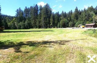 Grundstück zu kaufen in 4891 Pöndorf, Attraktives Baugrundstück in sonniger Lage