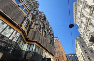 Wohnung kaufen in Werdertorgasse, 1010 Wien, Elegante Wohnung mit Terrasse in der Werdertorgasse