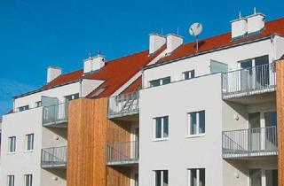 Wohnung mieten in In Den Gärten 13/1/5, 3472 Hohenwarth, Hohenwarth | Geförderte Dachgeschoßwohnung in Miete mit Kaufoption | Top 5 | DG mit Dachterrasse