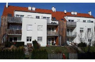 Wohnung mieten in In Den Gärten 13/1/5, 3472 Hohenwarth, Hohenwarth | Geförderte Dachgeschoßwohnung in Miete mit Kaufoption | Top 5 | DG mit Dachterrasse