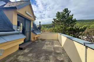 Wohnung kaufen in 2500 Baden, Historische charmante Altbau-Villa mit 3 DG-Einheiten inkl. Dachterrassen I 2012 Generalsanierung inkl. Lift I Grünlage