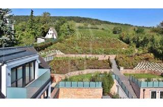 Wohnung mieten in Neustift am Walde, 1190 Wien, Terrassenwohnung nähe AIS - ZWEITBEZUG