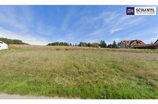Grundstück zu kaufen in 8323 Sankt Marein bei Graz, BRILLANT! Ihr Traumprojekt vor den Toren von Graz: Baureifes Grundstück für modernes Wohnen in idyllischer Lage!