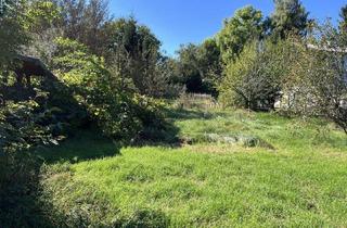 Grundstück zu kaufen in 2671 Pettenbach, Grünblick in Pettenbach