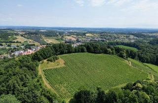 Grundstück zu kaufen in 8462 Eckberg, TRAUMHAFTES GRUNDSTÜCK AN DER SÜDSTEIRISCHEN WEINSTRASSE! Ein Ausblick der Ihnen die Sprache verschlagen wird - im schönsten Teil der grünen Steiermark.