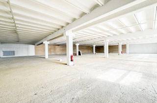 Lager mieten in Sagedergasse, 1120 Wien, TEMPERIERTE LAGERFLÄCHE - CA. 738,02 m² - LADERAMPE - STELLPLÄTZE - IM HERZEN DES 12. GEMEINDEBEZIRKS