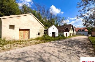 Lager kaufen in Mühlkellergasse, 3714 Sitzendorf an der Schmida, Charmantes Presshaus mit großzügiger Kellerröhre und idyllischem Gründach in Sitzendorf an der Schmid
