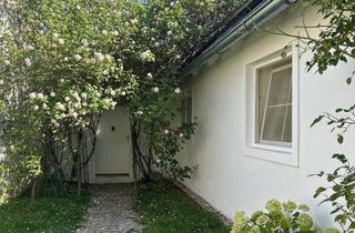 Haus kaufen in 2020 Hollabrunn, 1 Objekt: 2 Häuser im Weinviertel