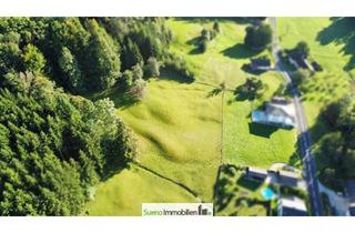 Grundstück zu kaufen in 4656 Kirchham, Wald. Wiese. Zukunft. - Ein Grundstück für große Pläne!