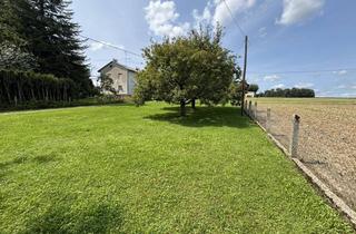 Grundstück zu kaufen in 4062 Thening, Baugrund in Siedlungsrandlage
